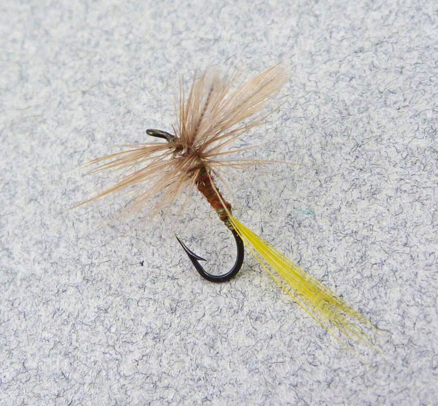 Rube Cross - Brown Olive - Catskill Dry Fly 