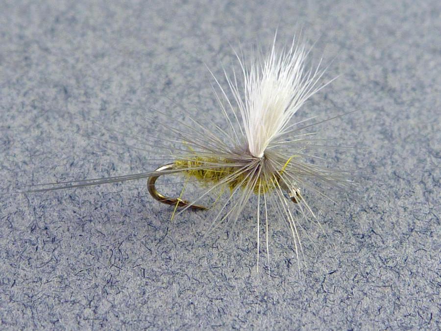 Mary Dette - Five Dry Flies