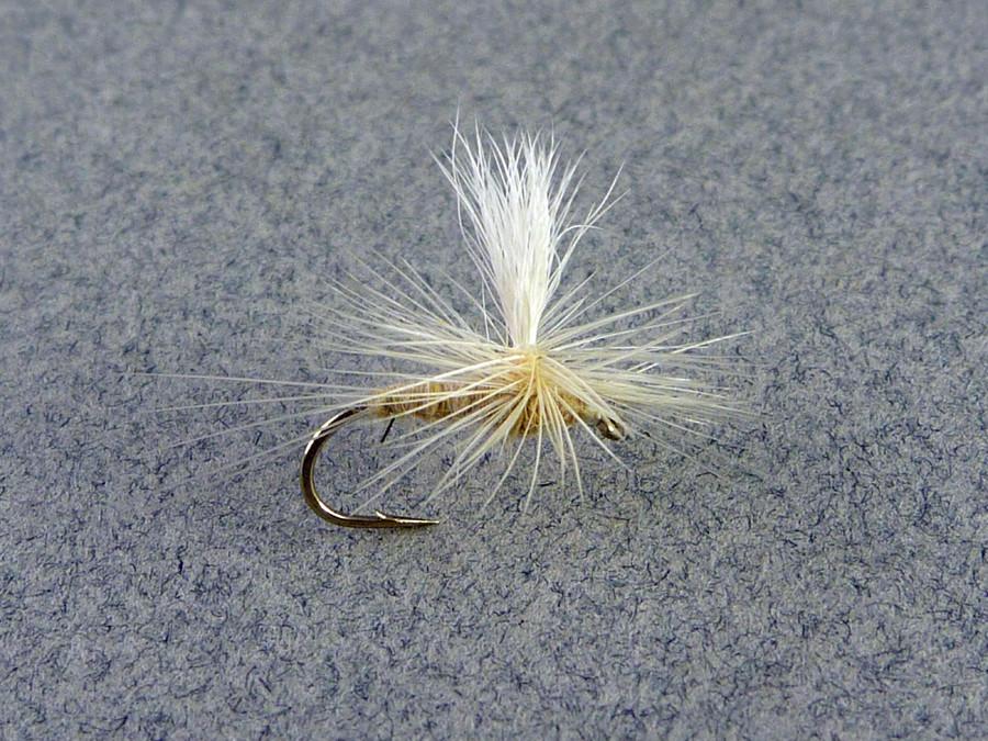 Mary Dette - Five Dry Flies