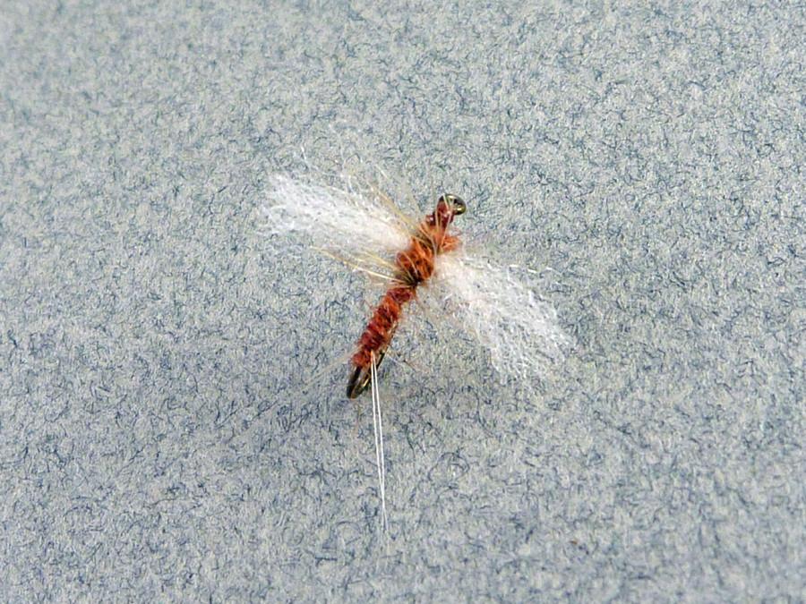 Mary Dette - Five Dry Flies