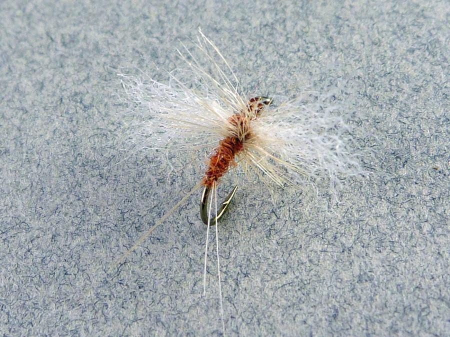 Mary Dette - Five Dry Flies 