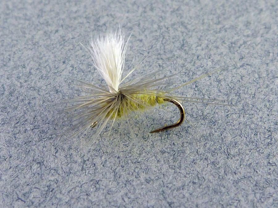 Mary Dette - Five Dry Flies 