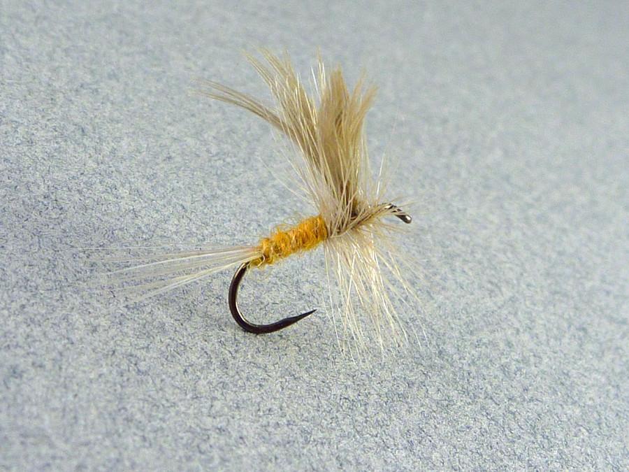 Dette Fly - Dorothea (Sulphur)