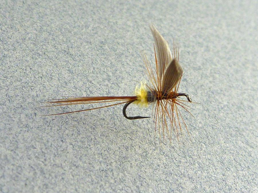 Dette Fly - Lady Beaverkill