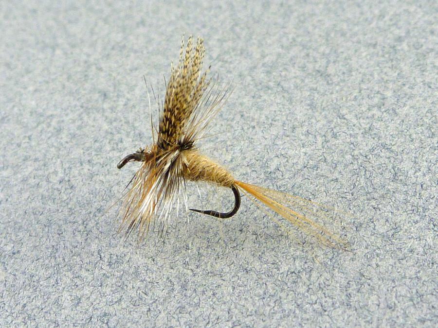 Dette Fly - March Brown