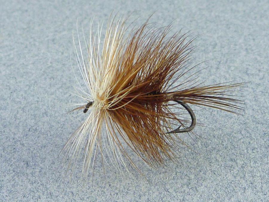 Ed Hewitt - Brown Bivisible