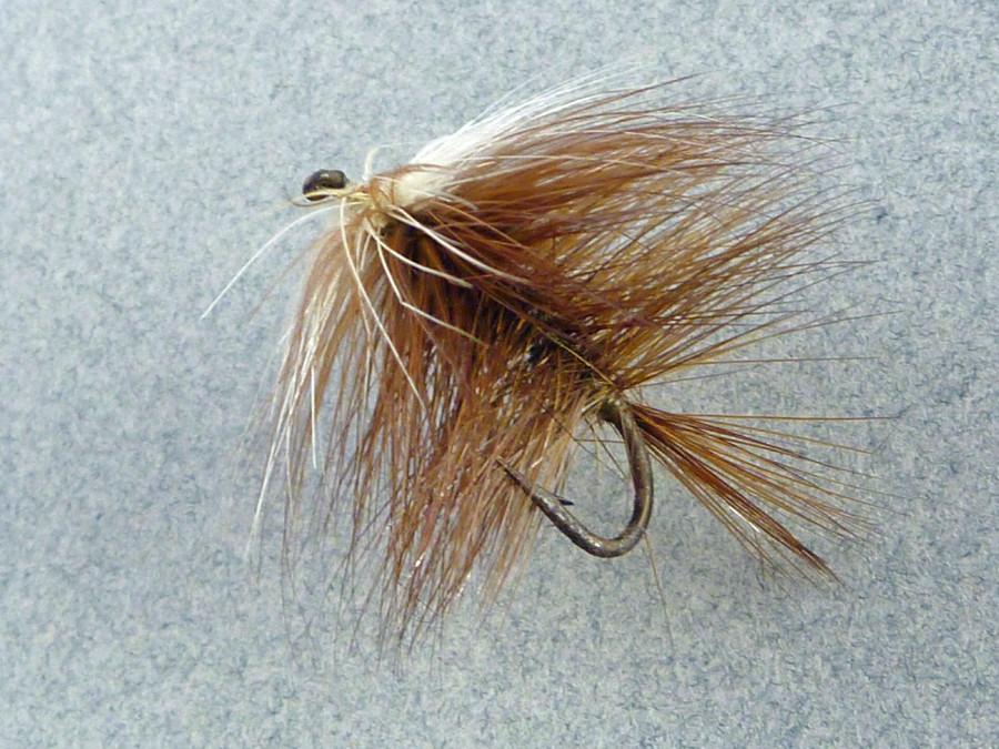 Ed Hewitt - Brown Bivisible