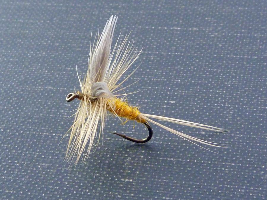 Dette Fly - Dorothea (Sulphur) 