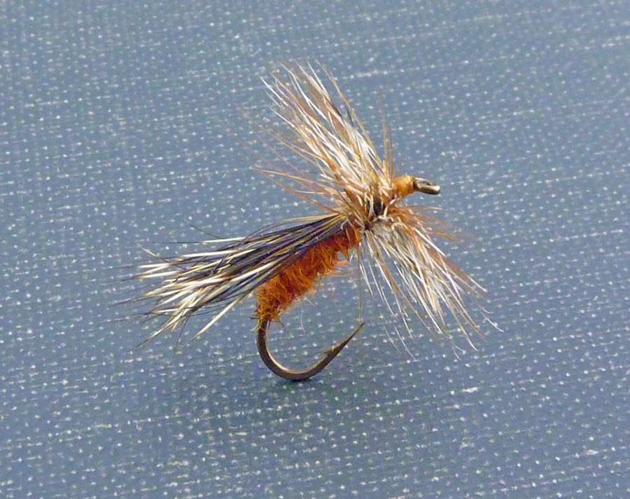 Dette Fly - Woodchuck Caddis