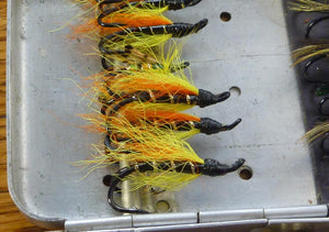 Perrine Fly Box with 22 double hook salmon flies 
