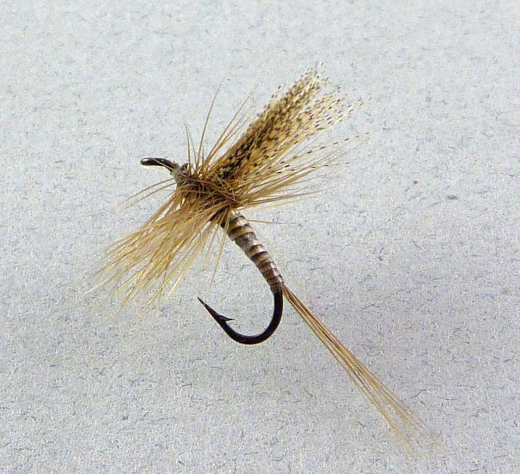 Dette - Seven Dry Flies with Provenance Letter