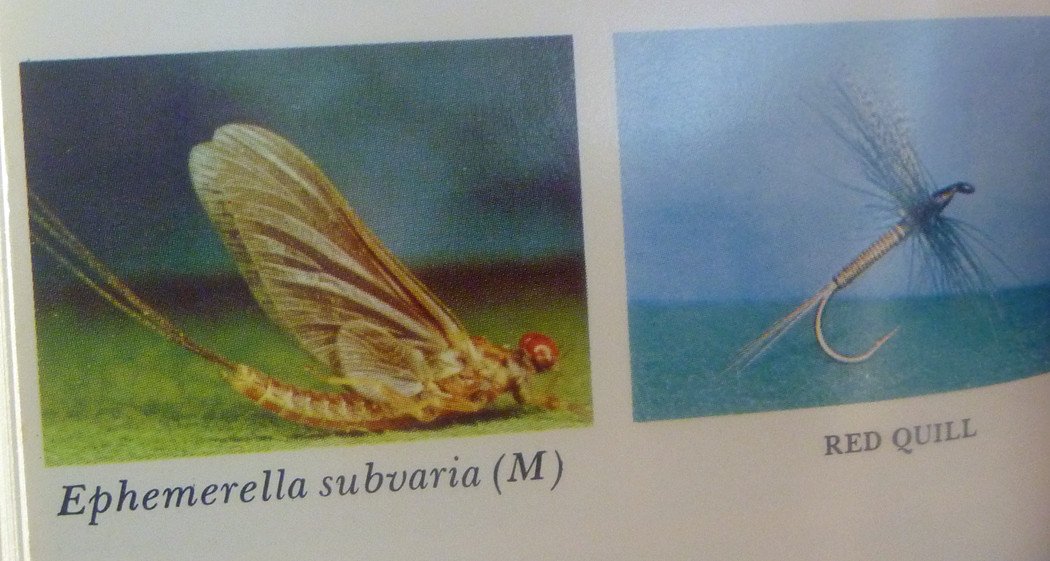 Art Flick Nymphs, Materials & Ephemera 