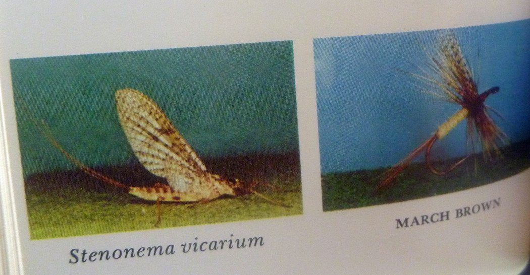 Art Flick Nymphs, Materials & Ephemera 