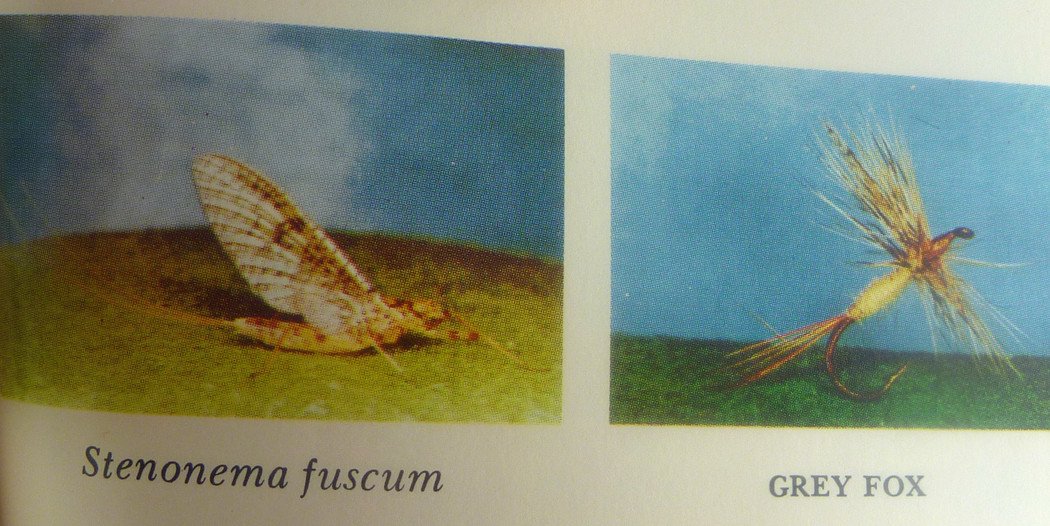 Art Flick Nymphs, Materials & Ephemera