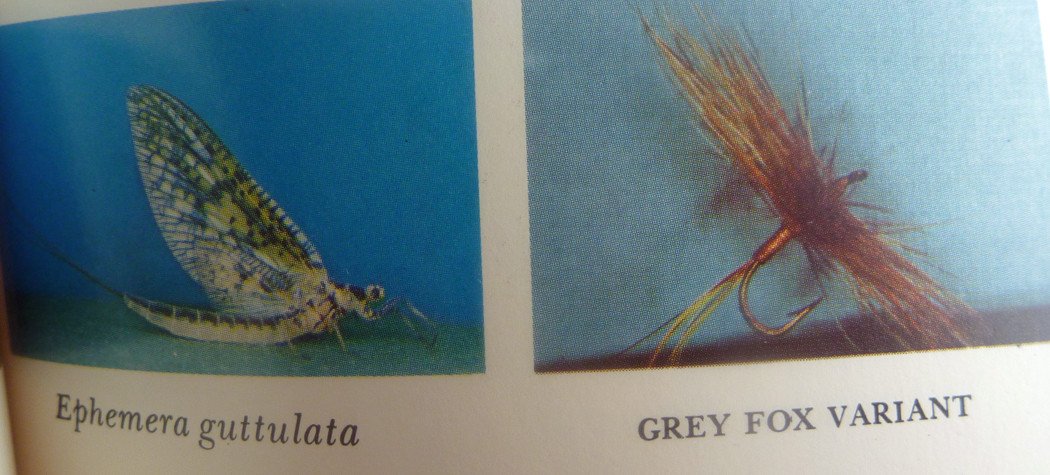 Art Flick Nymphs, Materials & Ephemera 