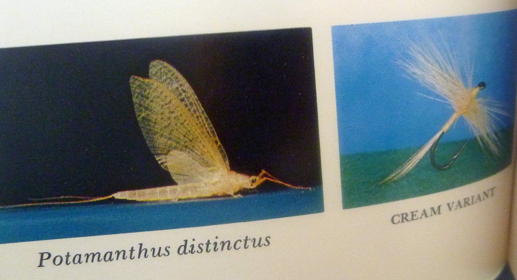 Art Flick Nymphs, Materials & Ephemera