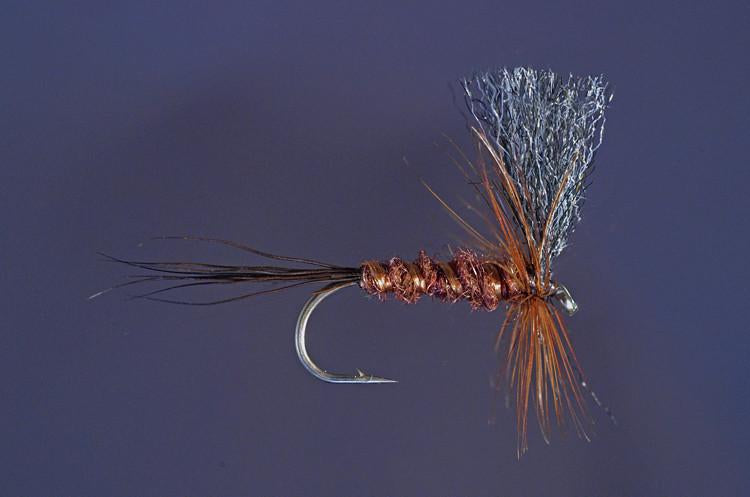 Iwamasa, Ken - Dark Hendrickson