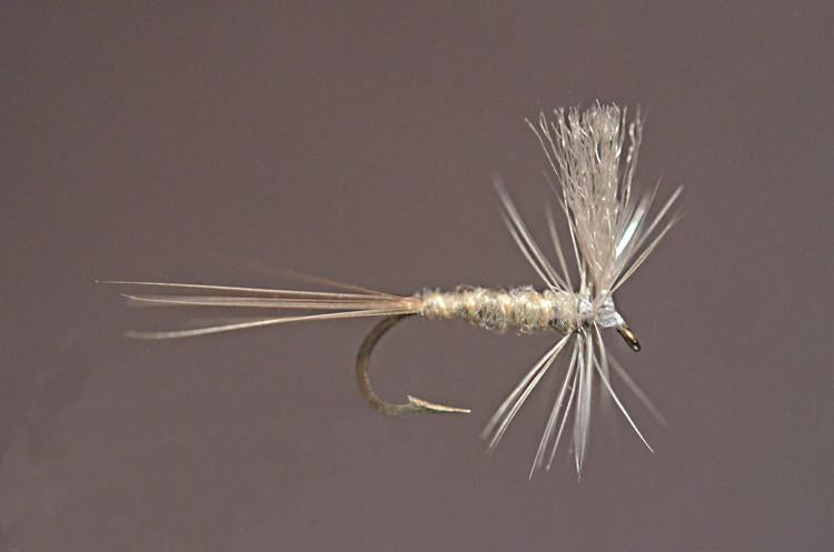 Iwamasa, Ken - Late Season Baetis