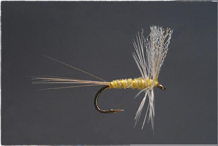 Iwamasa, Ken - Pale Morning Dun