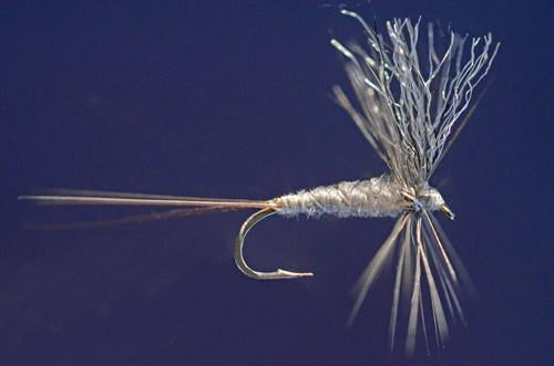 Iwamasa, Ken - Slate Gray Drake