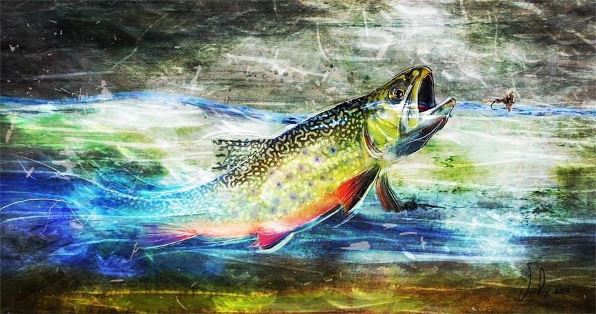 Fly Art by Daniel - Profile Series - Brook Trout and Wulff 