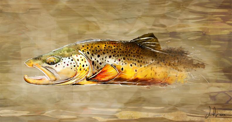 Fly Art by Daniel - Profile Series - Brown Trout 