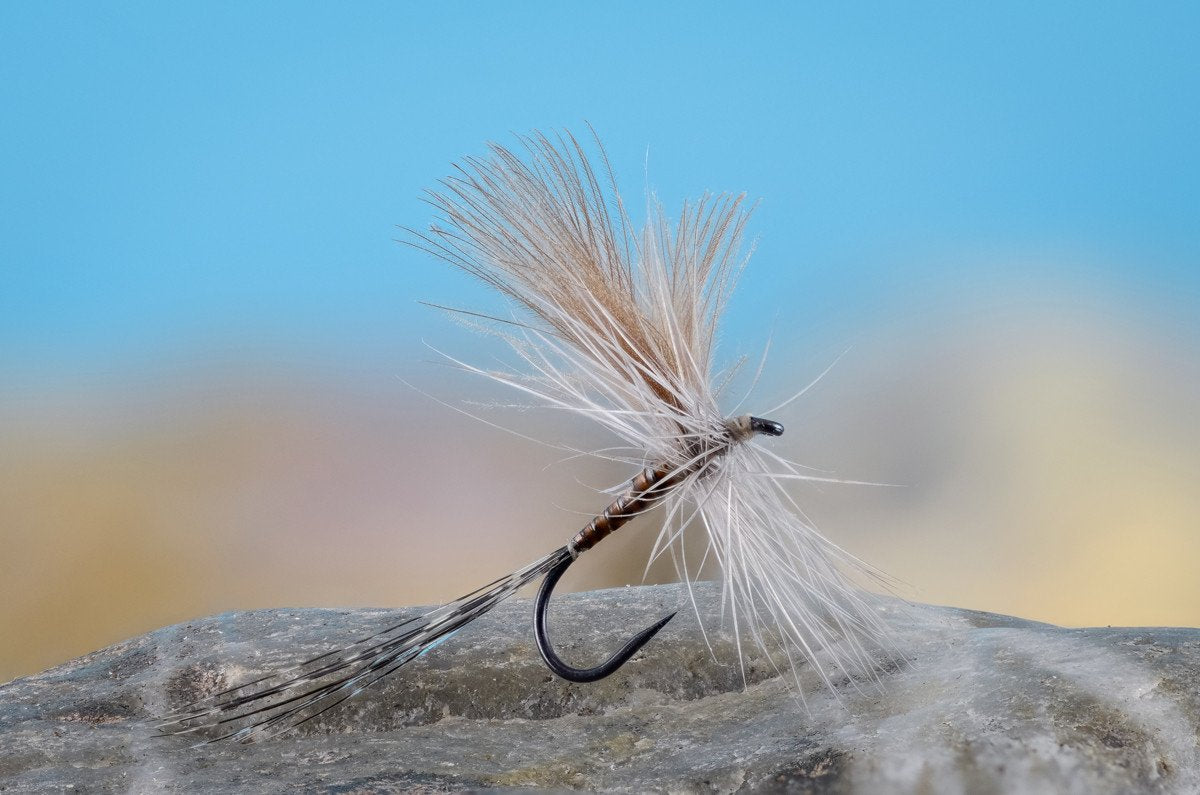 Flies for Rivers - CDC Fanwing Quill (Quill Gordon - Size 14)
