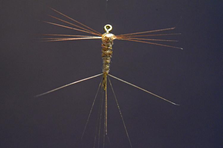 Iwamasa, Ken - Spike Spinner