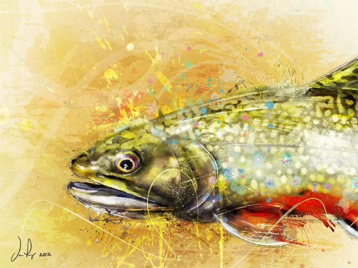 Fly Art by Daniel - Splash Series - Brook Trout