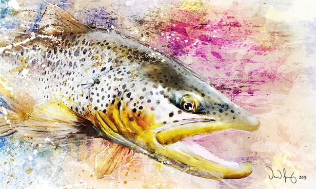 Fly Art by Daniel - Splash Series - Brown Trout 