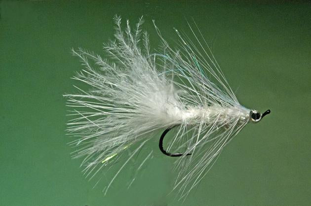 Ken Iwamasa - #6 White Eye