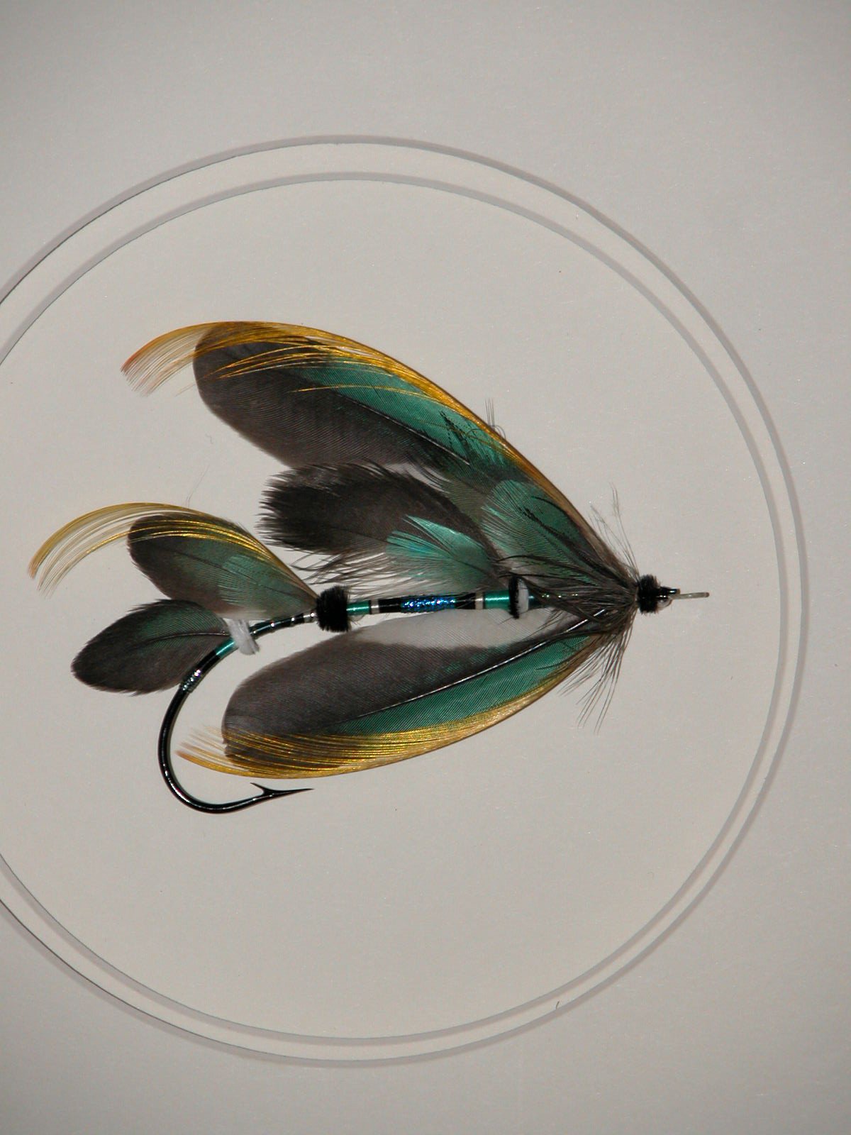 Paul Rossman Framed Fly - Confusion