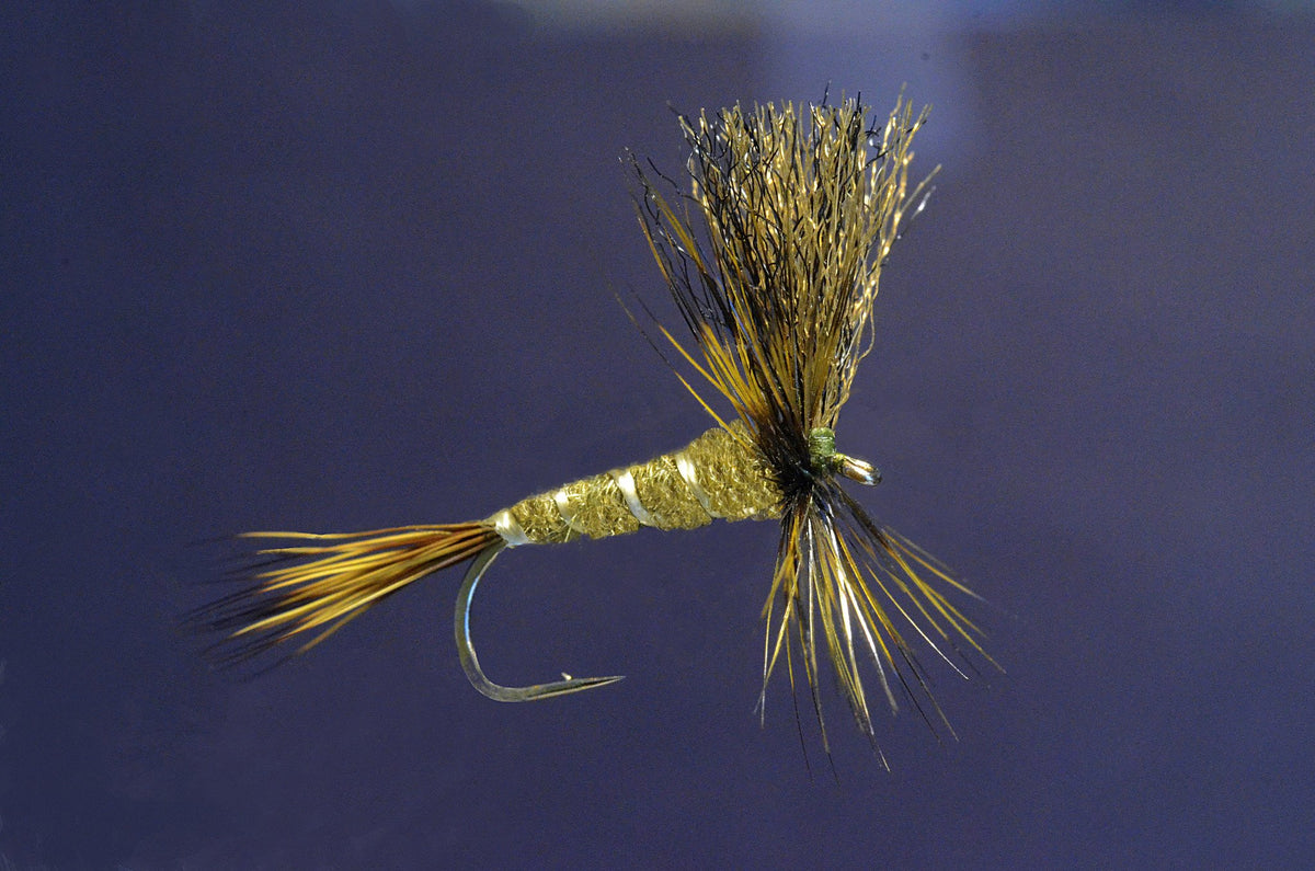 Iwamasa, Ken - Green Drake