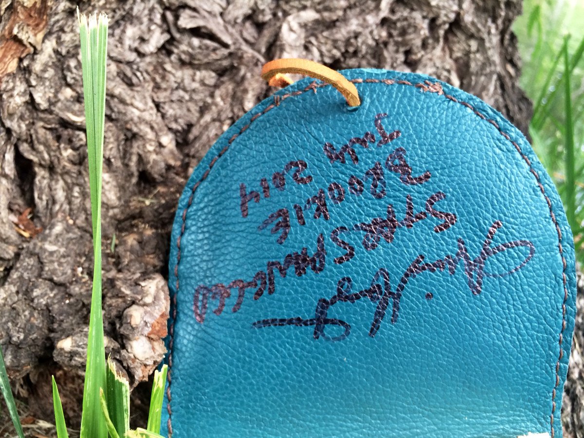 Annie Margarita Leather Reel Case - "Star Spangled Brookie"