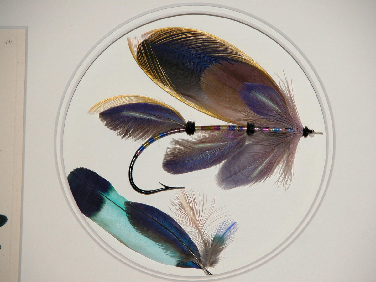 Paul Rossman Framed Fly - Savanna Nomad