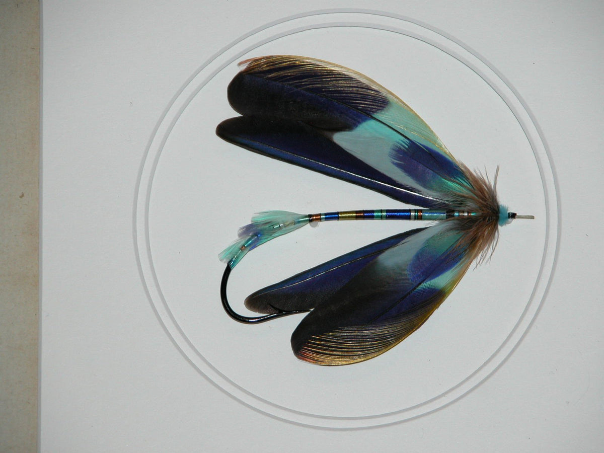 Paul Rossman Framed Fly - Zips